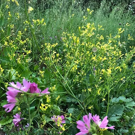 Casa De Claudia Comillas- Jardin Privado - A 10 Metros Del Capricho De Gaudi * Комильяс